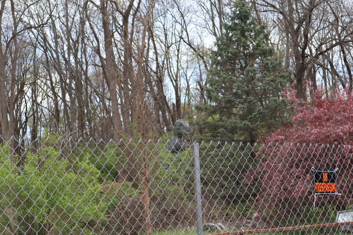 Prehistoric Forest - May 1 2021 (newer photo)